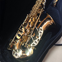 ヤナギサワ アルトサックス A-901